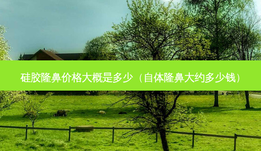 硅胶隆鼻价格大概是多少(自体隆鼻大约多少钱)-第1张图片-唯美资讯网 硅胶隆鼻价格大概是多少(自体隆鼻大约多少钱)-第1张图片-唯美资讯网