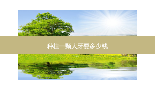 种植一颗大牙要多少钱-第1张图片-唯美资讯网 种植一颗大牙要多少钱-第1张图片-唯美资讯网
