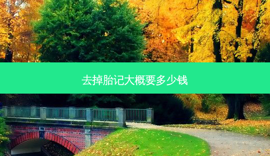 去掉胎记大概要多少钱-第1张图片-唯美资讯网 去掉胎记大概要多少钱-第1张图片-唯美资讯网