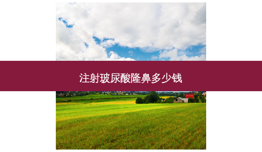 注射玻尿酸隆鼻多少钱-第1张图片-唯美资讯网