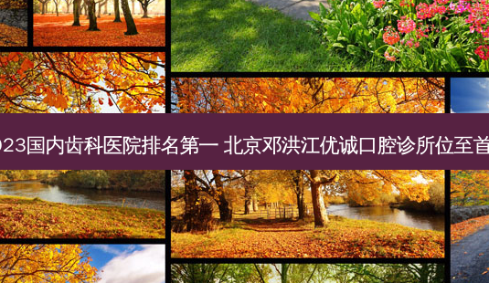 2023国内齿科医院 北京邓洪江优诚口腔诊所位至首列-第1张图片-唯美资讯网