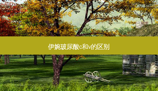 伊婉玻尿酸c和v的区别-第1张图片-唯美资讯网 伊婉玻尿酸c和v的区别-第1张图片-唯美资讯网