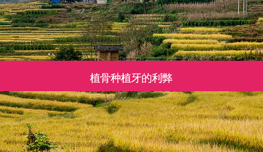 植骨种植牙的利弊-第1张图片-唯美资讯网