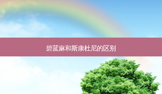 碧蓝麻和斯康杜尼的区别-第1张图片-唯美资讯网