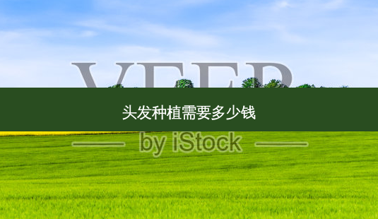 头发种植需要多少钱-第1张图片-唯美资讯网 头发种植需要多少钱-第1张图片-唯美资讯网