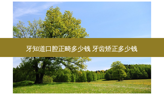 牙知道口腔正畸多少钱 牙齿矫正多少钱-第1张图片-唯美资讯网