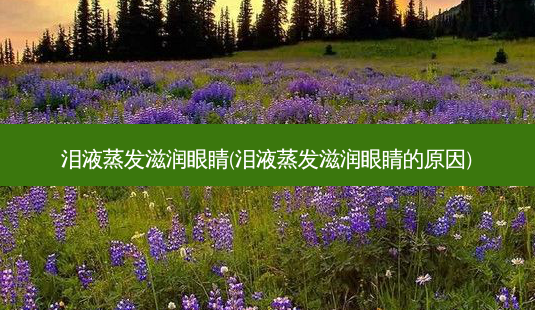 泪液蒸发滋润眼睛(泪液蒸发滋润眼睛的原因)-第1张图片-唯美资讯网 泪液蒸发滋润眼睛(泪液蒸发滋润眼睛的原因)-第1张图片-唯美资讯网