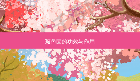 玻色因的功效与作用-第1张图片-唯美资讯网 玻色因的功效与作用-第1张图片-唯美资讯网