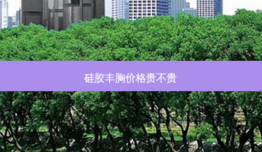 硅胶丰胸价格贵不贵-第1张图片-唯美资讯网