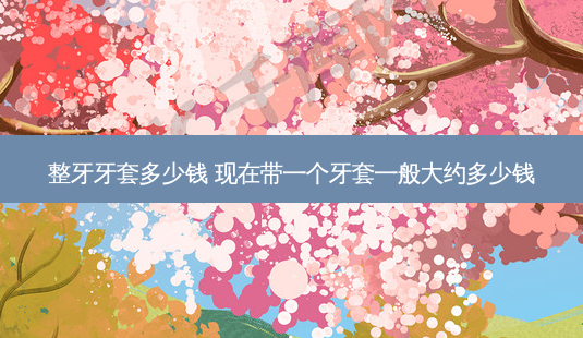 整牙牙套多少钱 现在带一个牙套一般大约多少钱-第1张图片-唯美资讯网