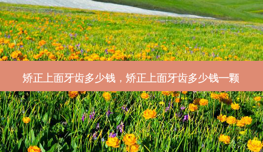 矫正上面牙齿多少钱,矫正上面牙齿多少钱一颗-第1张图片-唯美资讯网 矫正上面牙齿多少钱,矫正上面牙齿多少钱一颗-第1张图片-唯美资讯网
