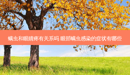 螨虫和眼睛疼有关系吗 眼部螨虫感染的症状有哪些-第1张图片-唯美资讯网 螨虫和眼睛疼有关系吗 眼部螨虫感染的症状有哪些-第1张图片-唯美资讯网