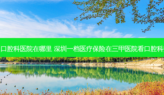 广东深圳口腔科医院在哪里 深圳一档医疗保险在三甲医院看口腔科报销问题-第1张图片-唯美资讯网