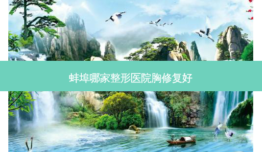 蚌埠哪家整形医院胸修复好-第1张图片-唯美资讯网 蚌埠哪家整形医院胸修复好-第1张图片-唯美资讯网