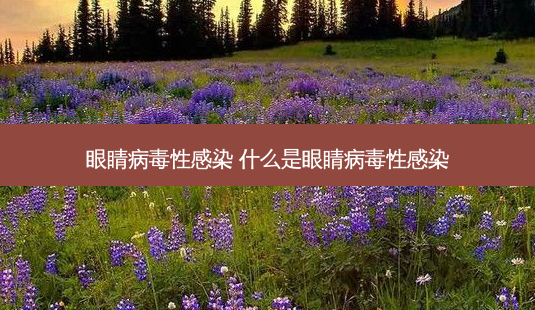 眼睛病毒性感染 什么是眼睛病毒性感染-第1张图片-唯美资讯网