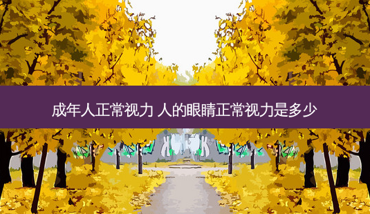 成年人正常视力 人的眼睛正常视力是多少-第1张图片-唯美资讯网 成年人正常视力 人的眼睛正常视力是多少-第1张图片-唯美资讯网