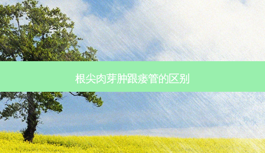 根尖肉芽肿跟瘘管的区别-第1张图片-唯美资讯网 根尖肉芽肿跟瘘管的区别-第1张图片-唯美资讯网