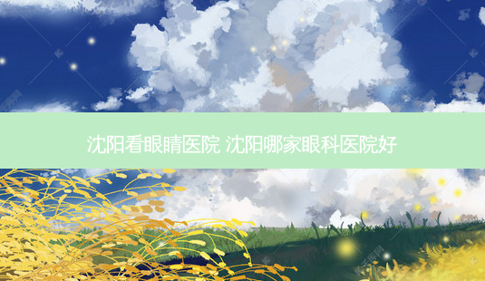 沈阳看眼睛医院 沈阳哪家眼科医院好-第1张图片-唯美资讯网 沈阳看眼睛医院 沈阳哪家眼科医院好-第1张图片-唯美资讯网