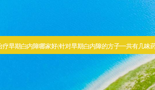 早期白内障哪家好(针对早期白内障的方子一共有几味药)-第1张图片-唯美资讯网