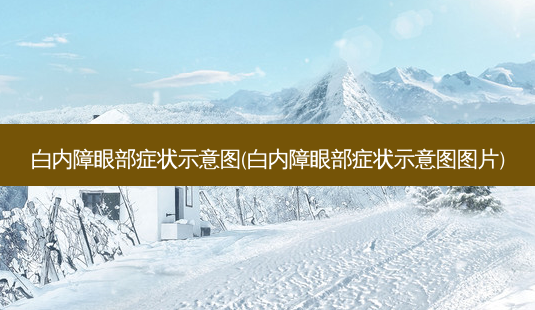 白内障眼部症状示意图(白内障眼部症状示意图图片)-第1张图片-唯美资讯网 白内障眼部症状示意图(白内障眼部症状示意图图片)-第1张图片-唯美资讯网