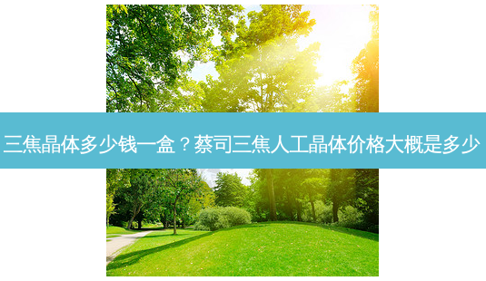 三焦晶体多少钱一盒?蔡司三焦人工晶体价格大概是多少-第1张图片-唯美资讯网 三焦晶体多少钱一盒?蔡司三焦人工晶体价格大概是多少-第1张图片-唯美资讯网
