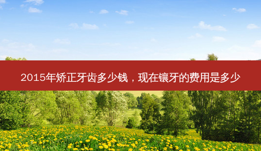 2015年矫正牙齿多少钱,现在镶牙的费用是多少-第1张图片-唯美资讯网 2015年矫正牙齿多少钱,现在镶牙的费用是多少-第1张图片-唯美资讯网