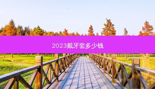 2023戴牙套多少钱-第1张图片-唯美资讯网 2023戴牙套多少钱-第1张图片-唯美资讯网