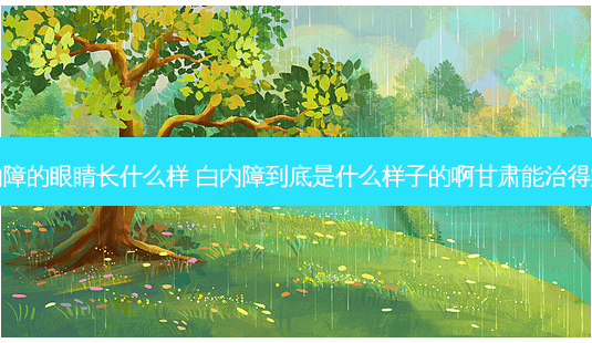 白内障的眼睛长什么样 白内障到底是什么样子的啊甘肃能治得好吗-第1张图片-唯美资讯网 白内障的眼睛长什么样 白内障到底是什么样子的啊甘肃能治得好吗-第1张图片-唯美资讯网