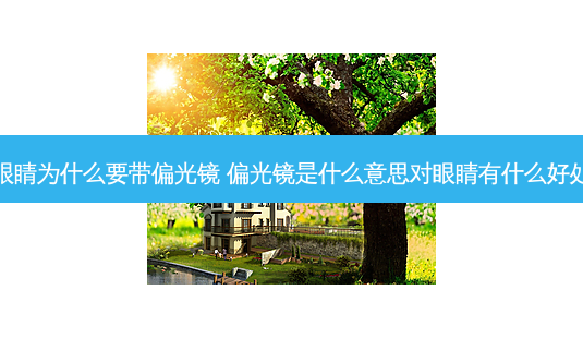 眼睛为什么要带偏光镜 偏光镜是什么意思对眼睛有什么好处-第1张图片-唯美资讯网 眼睛为什么要带偏光镜 偏光镜是什么意思对眼睛有什么好处-第1张图片-唯美资讯网