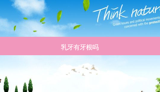 乳牙有牙根吗-第1张图片-唯美资讯网 乳牙有牙根吗-第1张图片-唯美资讯网