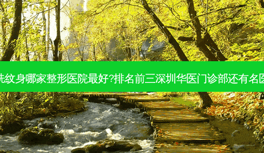 深圳洗纹身哪家整形医院好?排名前三深圳华医门诊部还有名医坐诊-第1张图片-唯美资讯网 深圳洗纹身哪家整形医院好?排名前三深圳华医门诊部还有名医坐诊-第1张图片-唯美资讯网