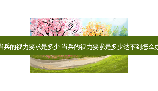 当兵的视力要求是多少 当兵的视力要求是多少达不到怎么办-第1张图片-唯美资讯网 当兵的视力要求是多少 当兵的视力要求是多少达不到怎么办-第1张图片-唯美资讯网