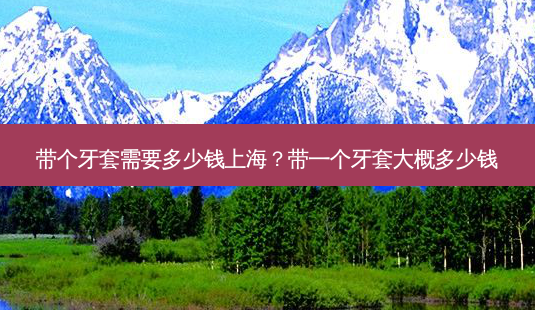 带个牙套需要多少钱上海?带一个牙套大概多少钱-第1张图片-唯美资讯网 带个牙套需要多少钱上海?带一个牙套大概多少钱-第1张图片-唯美资讯网