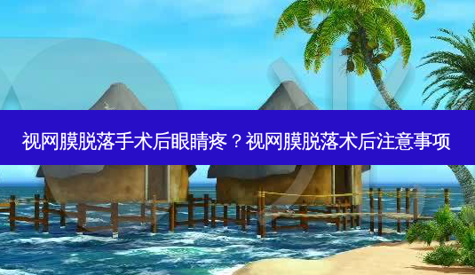 视网膜脱落手术后眼睛疼?视网膜脱落术后注意事项-第1张图片-唯美资讯网 视网膜脱落手术后眼睛疼?视网膜脱落术后注意事项-第1张图片-唯美资讯网