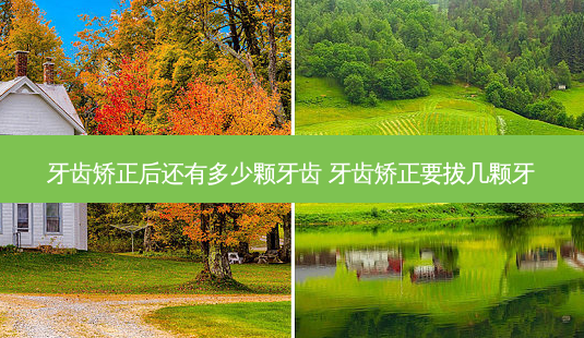 牙齿矫正后还有多少颗牙齿 牙齿矫正要拔几颗牙-第1张图片-唯美资讯网 牙齿矫正后还有多少颗牙齿 牙齿矫正要拔几颗牙-第1张图片-唯美资讯网