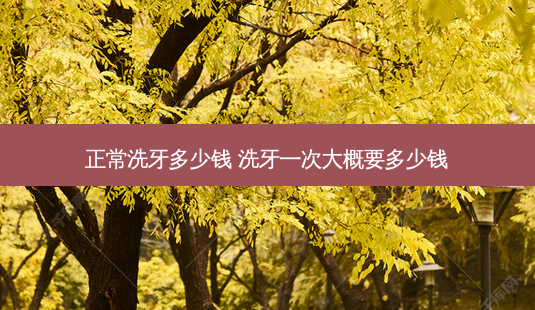 正常洗牙多少钱 洗牙一次大概要多少钱-第1张图片-唯美资讯网 正常洗牙多少钱 洗牙一次大概要多少钱-第1张图片-唯美资讯网