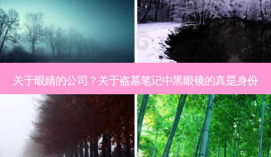 关于眼睛的公司?关于盗墓笔记中黑眼镜的真是身份-第1张图片-唯美资讯网 关于眼睛的公司?关于盗墓笔记中黑眼镜的真是身份-第1张图片-唯美资讯网