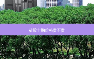 硅胶丰胸价格贵不贵