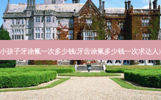 小孩子牙涂氟一次多少钱(牙齿涂氟多少钱一次求达人)