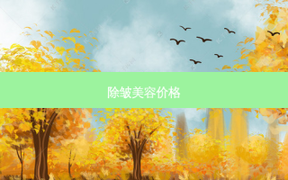 除皱美容价格