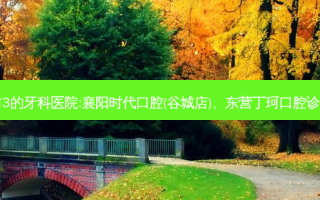 国内排名前3的牙科医院:襄阳时代口腔(谷城店)、东营丁珂口腔诊所上榜多年