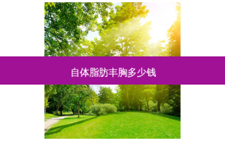自体脂肪丰胸多少钱