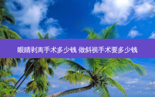 眼睛剥离手术多少钱 做斜视手术要多少钱