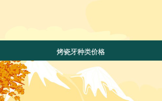 烤瓷牙种类价格