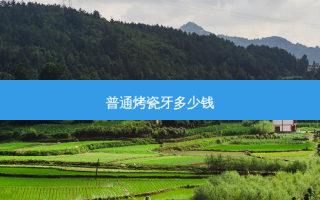 普通烤瓷牙多少钱
