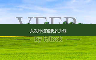 头发种植需要多少钱