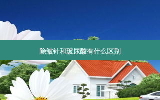 除皱针和玻尿酸有什么区别