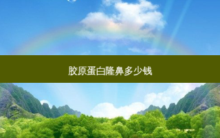 胶原蛋白隆鼻多少钱