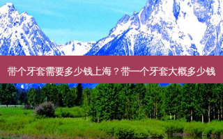 带个牙套需要多少钱上海？带一个牙套大概多少钱