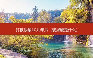 打玻尿酸10几年后（玻尿酸是什么）